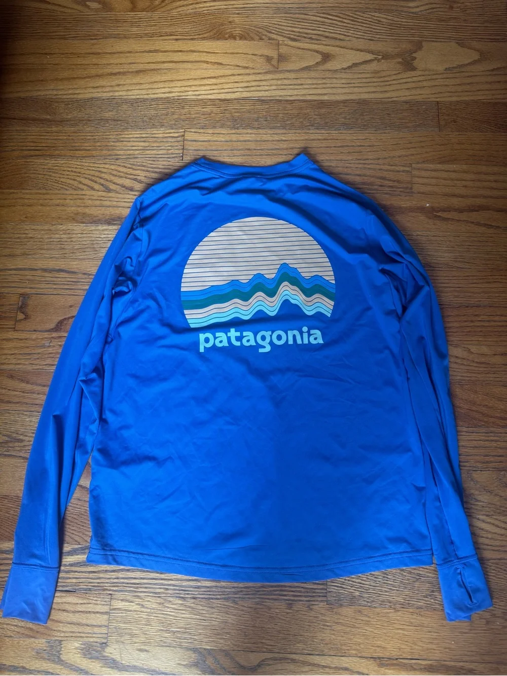 Patagonia Kids Blue Long-Sleeve Rashguard Tee